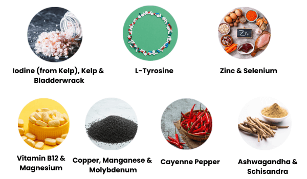 ThyraFemme ingredients — visual