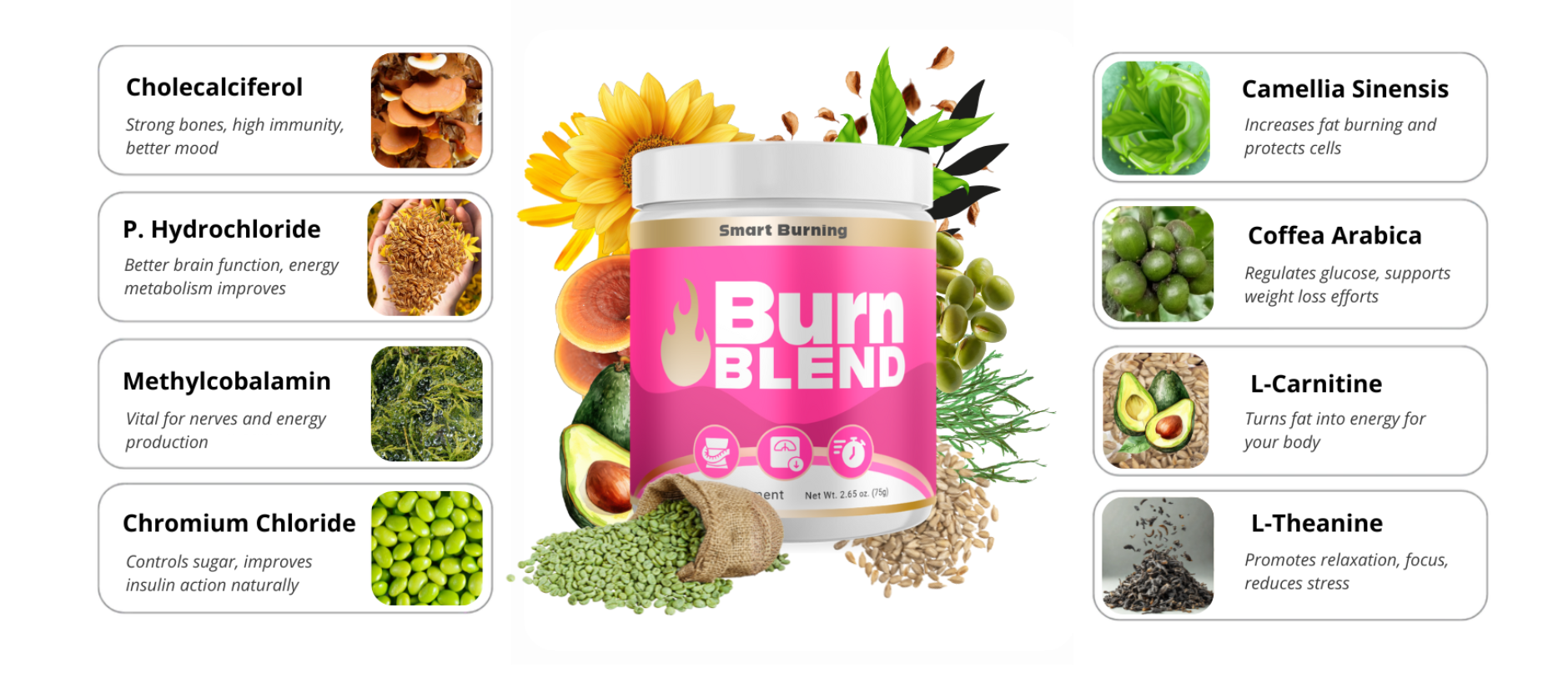 BurnBlend ingredients visual