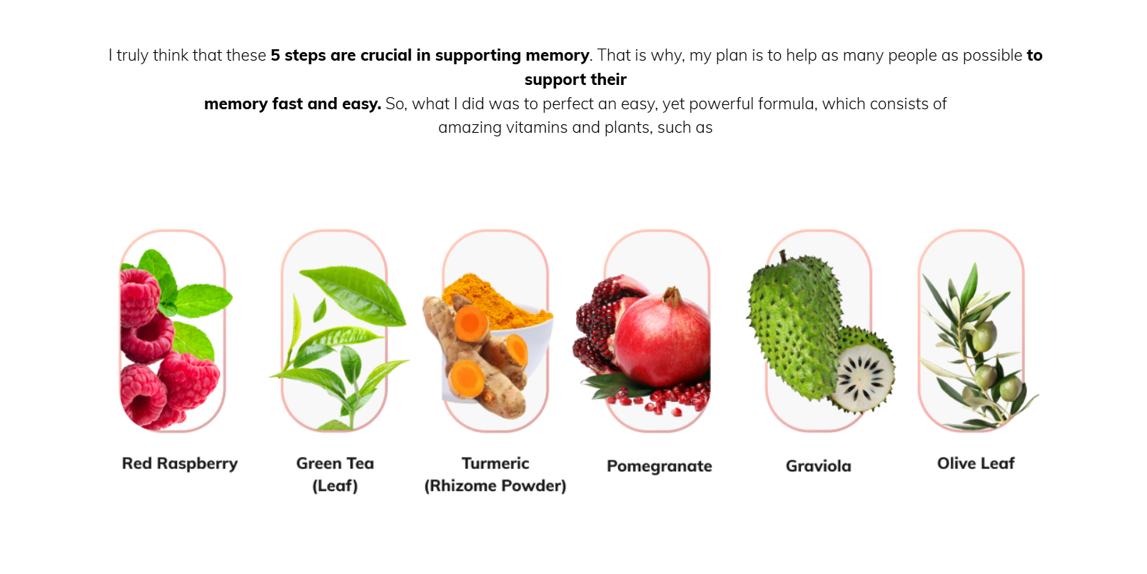 MemoMax Pro Ingredients